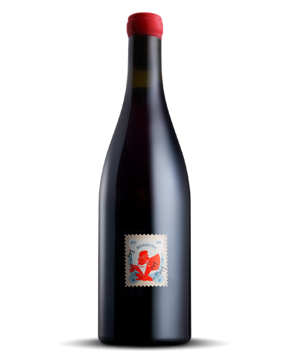 FOREIGN FRIENDS 2025 'HILMA' BARBERA