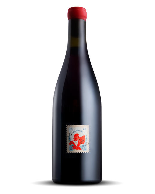 FOREIGN FRIENDS 2025 'HILMA' BARBERA