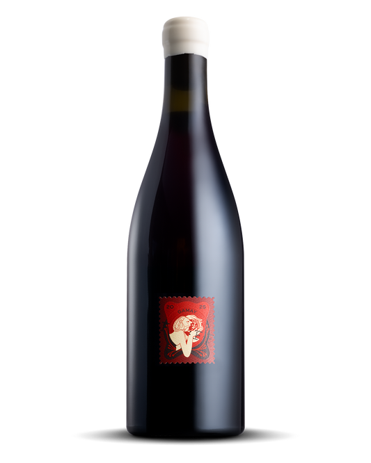 FOREIGN FRIENDS 2025 'ANNA' GAMAY